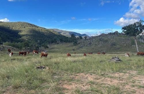 Sandy Flat Cabin | The Tenterfield Goat Housen3000acres with frontage to the Mole/Deepwater rivers.