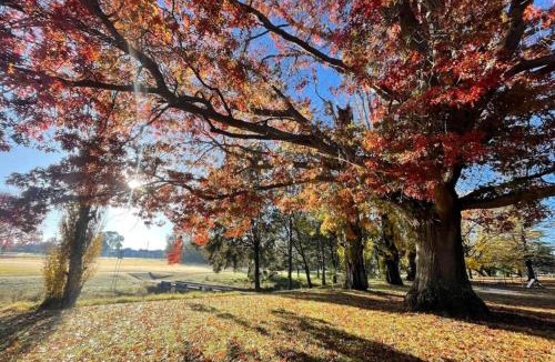 Tenterfield House | The Workers Cottage