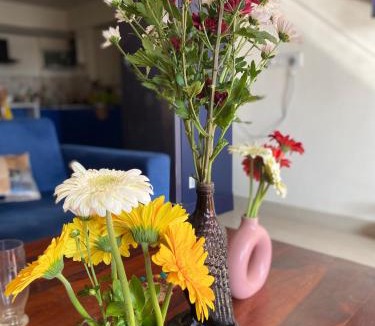 JP Nagar Bed & Breakfast | Thirumala Anemone