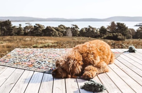 South Bruny Cabin | Tiny Percival Summary