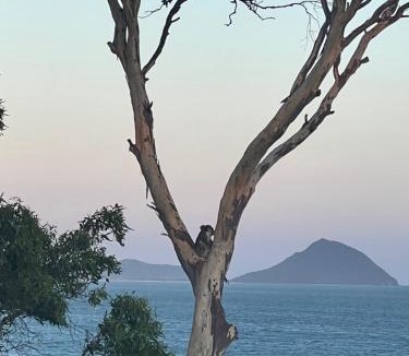 Soldiers Point Apartment | Tranquil Escape - Koala Hotspot - 2 Bed 2 Bath Apt Spectacular Sea Views