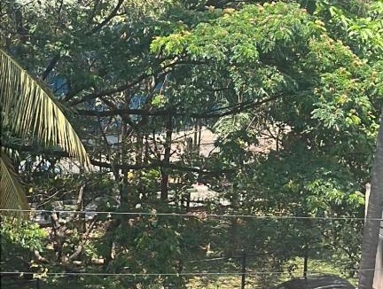 Bengaluru Apartment | Tree Top