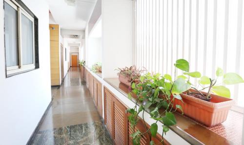 Ejipura Hotel | Treebo Edha Suites Koramangala