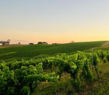 Orange Hotel | Turners Vineyard Motel