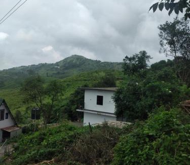 Vagamon Cabin | Vagamon leafhill mouthing view holidays
