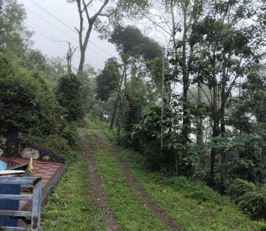 Udumbanchola House | Valley Homestay