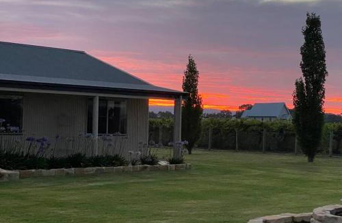 Eurunderee House | 'Vineyard Cottage' A Golden Escape among the Vines