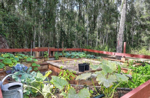 St. Georges Basin House | Waterfront Getaway, Pet Friendly - Jervis Bay