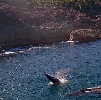 Tathra Apartment | Whale Stay