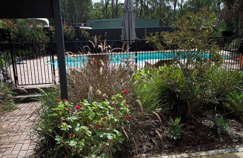 Lovedale Cottage | Wilderness cabin Lovedale