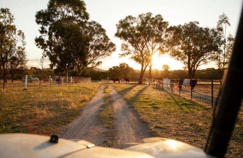 Chiltern Apartment | Willuna Farm Stay