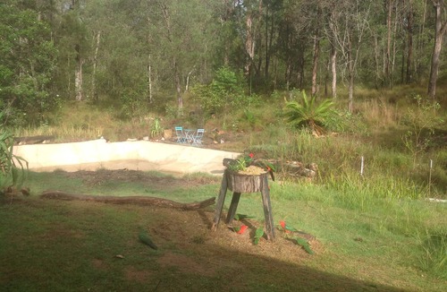 Gurranang House | Yamba Hinterland bush retreat - Magic bus stay