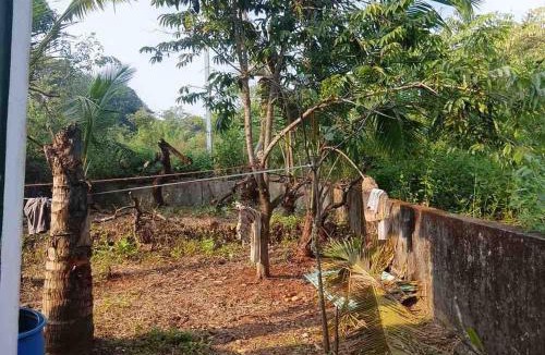 Siolim Villa | Yellow Maple