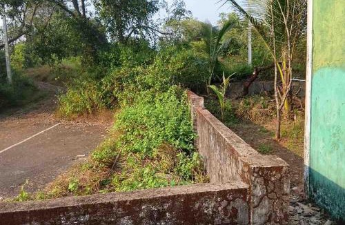 Siolim Villa | Yellow Maple
