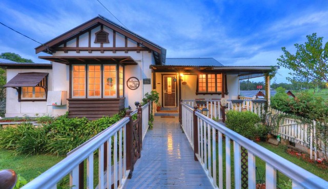 Andavine House - Bed & Breakfast