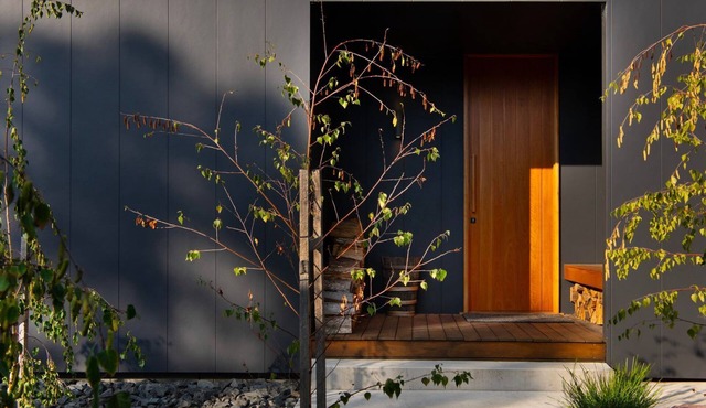 Banjo Treehouse - Architectural Elegance