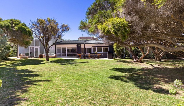 Beautiful spacious light filled pet friendly house