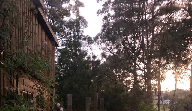 Bespoke riverfront cottage nestled amongst the trees.