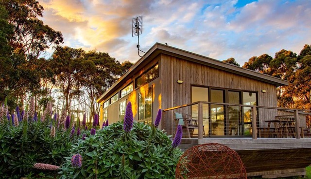 By Moonlight
