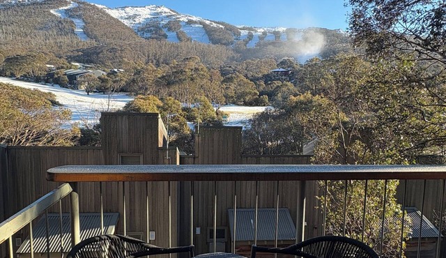 cabin21 riverside - ski chalet accommodation in Thredbo village