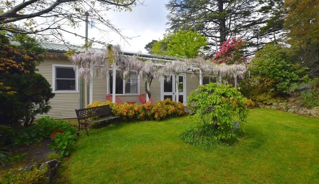 Calamandah House - Beautiful chic 3 bedroom home, walking distance to Blackheath village