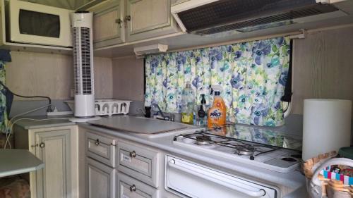 Caravan Rustic Sunflower