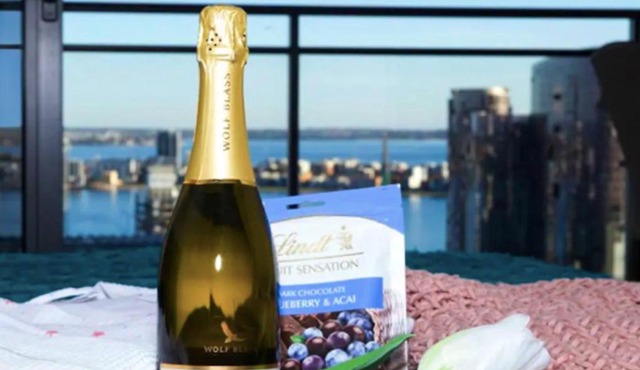 CENTRAL CBD EXEC STUNNING VIEW WIFI NETFLIX WINE