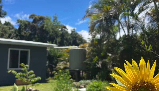 Cloud Cottage Eungella - Family friendly in beautiful rainforest mountain town!