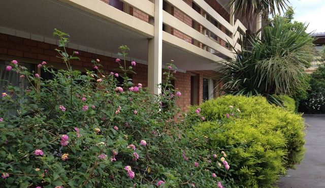 Essendon Motel