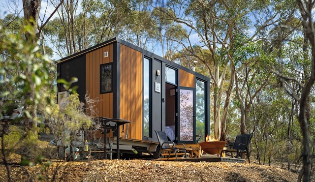 Eucalypt Escape by Tiny Away