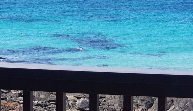 Explore coastal luxury at On The Rocks