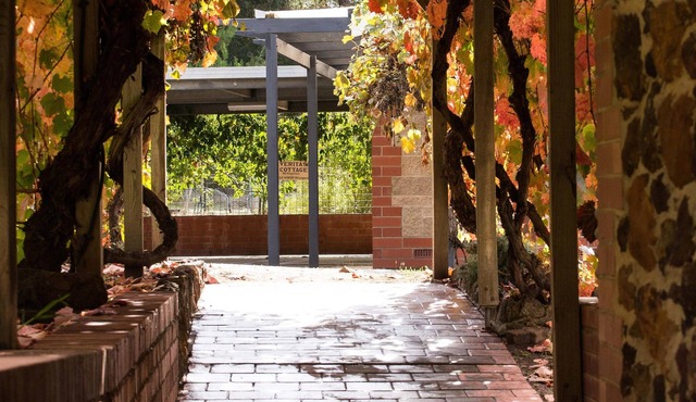 Hanisch Haus