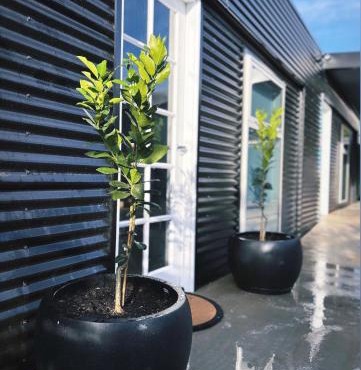 Hidden Haven - Urban Oasis - Secret Space - Off-street parking