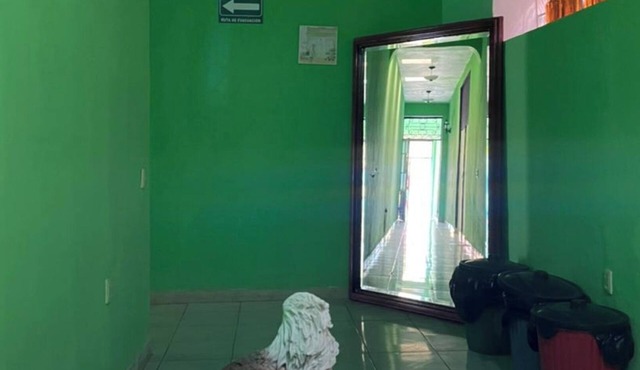 Hostel 1 block from downtown tequila with games room and bar. in Tequila