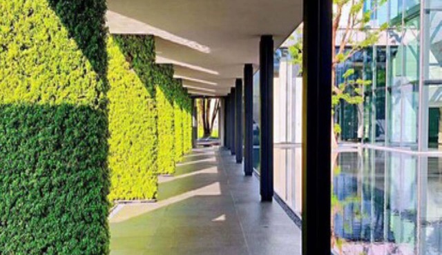 InterContinental Shenzhen Dameisha Resort by IHG in Shenzhen