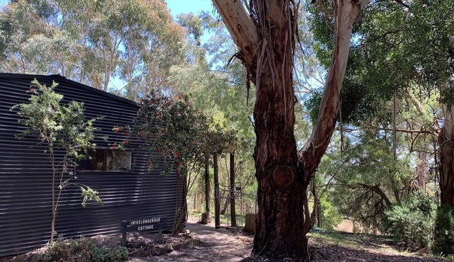 inthelonggrass cottage