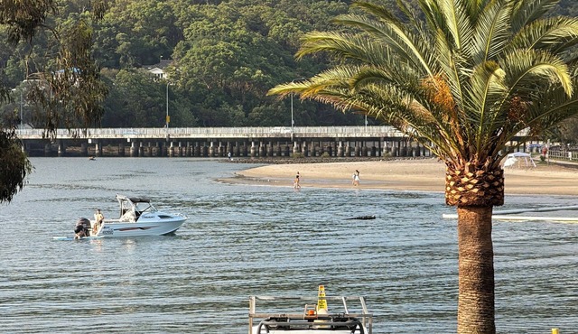 Koala Park beach front view. Murlong crescent🌊