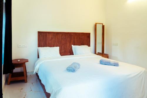 Kuma Surf House