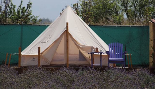 Lavender Dream in Glamping Rincón de Lavanda in Texcoco de Mora