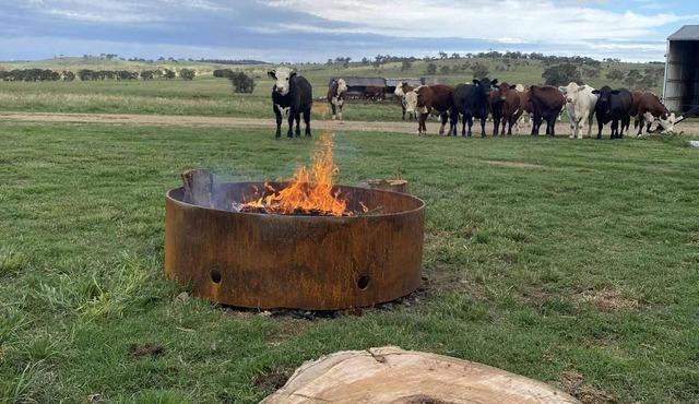 Luxury Farm Retreat Yarrimbah Shear Shed Farmstay CREEK WILDLIFE FIRE STARS