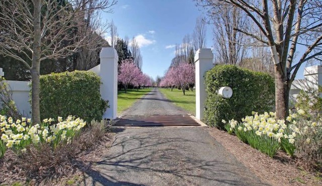 Magnificent "Willowood" - 6 brs on 100 acres, 5 mins from town with pool