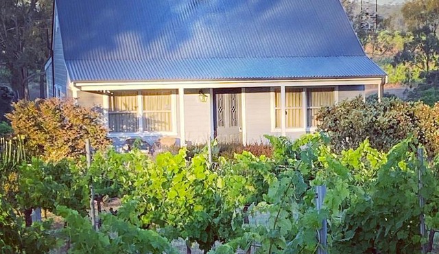 McCaffrey's Estate