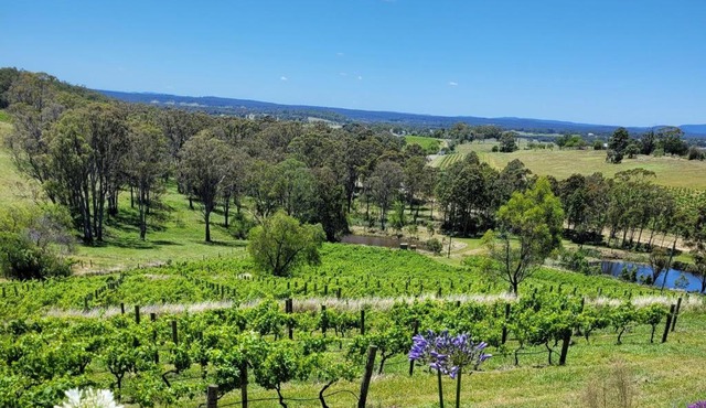 Mistress Block Vineyard