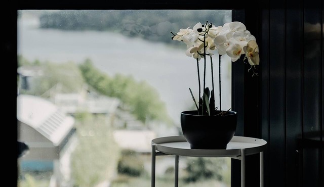 Modern Convenient 2-BR with Lakeside View