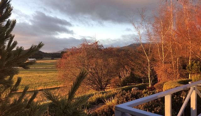Mole Creek Hideaway