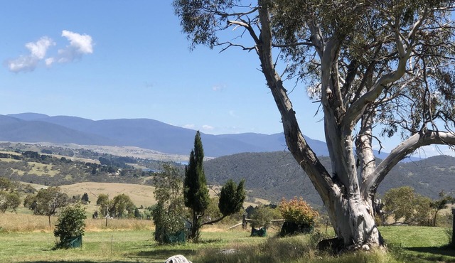‘Old Glen Miln’ In Majestic High County Jindabyne