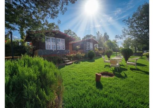 Once Upon A Forest by the Hillstay