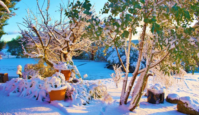 Panorama Jindabyne
