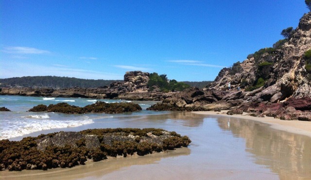 Pet-friendly, five tranquil acres near Pambula Beach overlooking the Lake.
