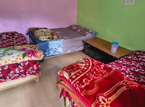 Pinak home stey sagar Gopeshwar Chamoli